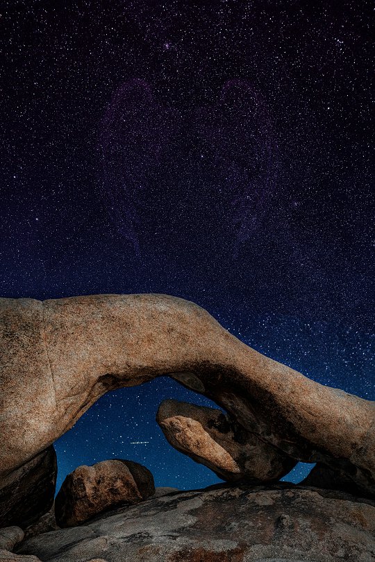 Amistad's trip to Puerto Rico during hurricane season angers lawmaker
Two months ago, when she learned that the schooner Amistad planned to sail to Puerto Rico for the filming of an NBC miniseries, state Rep.