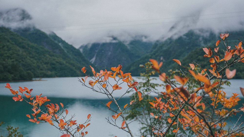 Red Hook Apocalypse: How Sandy Undid an Up-and-Coming New York City Neighborhood
The hurricane wreaked havoc among the restaurants and businesses in the historic but long ignored Brooklyn area.